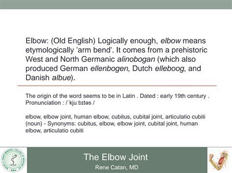 Solution Anatomy Cubital Fossa Elbow Joint Studypool