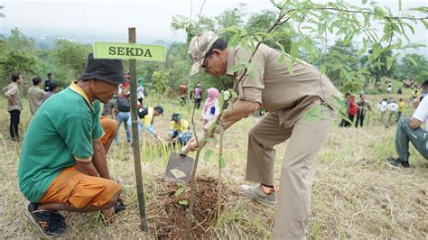 Peringati Hari Menanam Pohon Pemkab Subang Tanam Pohon Asem Jabar