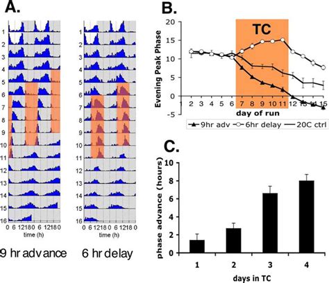 Temperature Is A Zeitgeber For Drosophila Circadian Behavior A