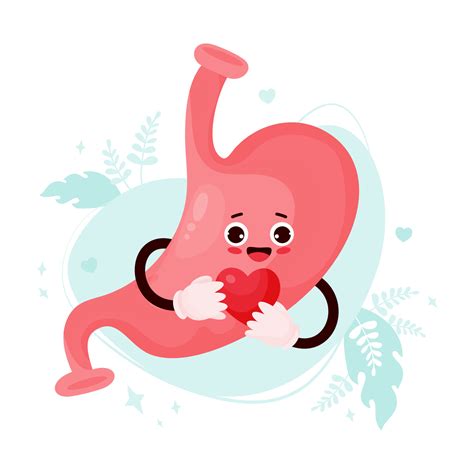 Cute cartoon stomach character. Funny smiling human organ with heart in his hands. Vector ...