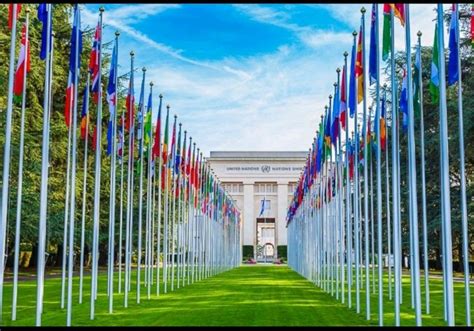 United Nations office at Geneva is organizing The 58th Session (2024 ...