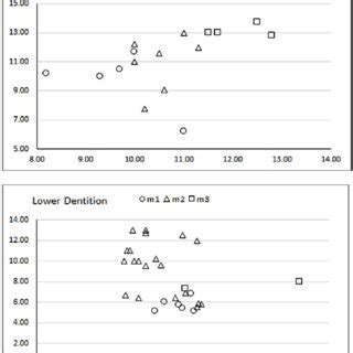 Bivariate Plots Showing Size Variation In The Cheek Teeth Of D Minus