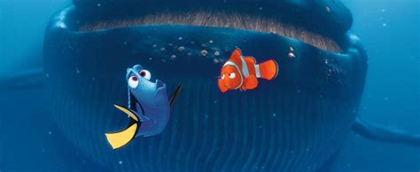 Inside Whale Finding Nemo