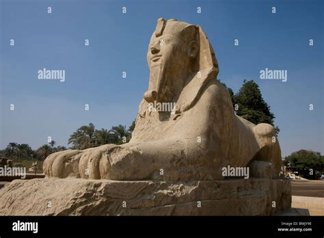 Alabaster Sphinx Memphis Al Jizah Egypt Stock Photo Alamy