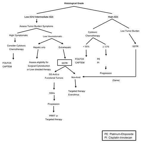 Cancers Free Full Text Management Of Appendix Neuroendocrine