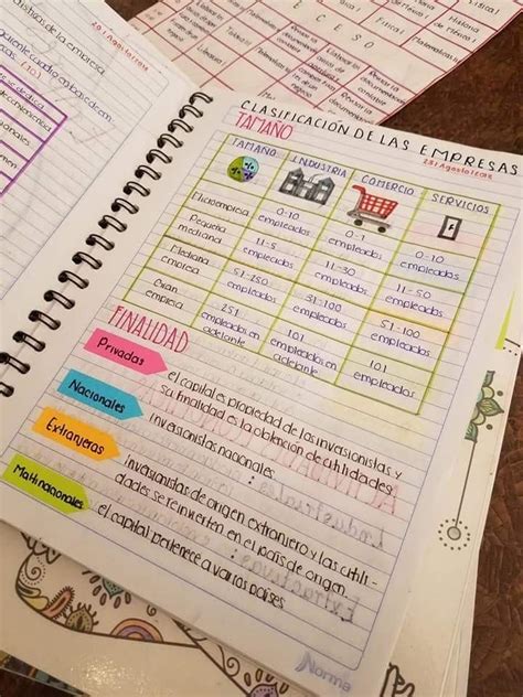 Cuadro Comparativo Apuntes De Clase Libreta De Apuntes Apuntes Nbkomputer