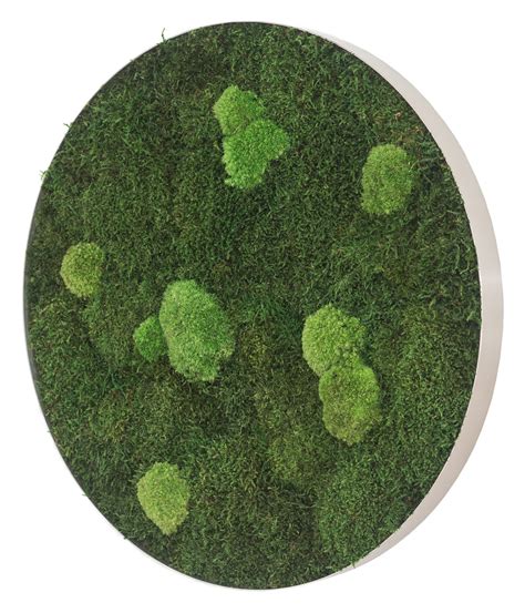 styleGREEN Bild aus Wald und Kugelmoos kreisförmig ca Ø54 cm Dehner