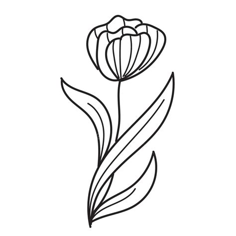 Monochrome Flower Outline Vector Flower Outline Art PNG And Vector