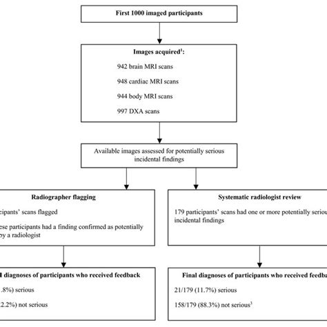 Participant Flowchart Mri Magnetic Resonance Imaging Dxa Dual