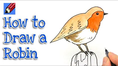 How To Draw A Robin Step By Step at Drawing Tutorials