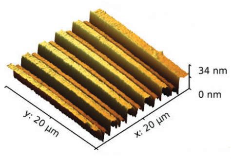 AFM Topography - SCL-Sensor.Tech