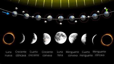 Fases De La Luna Cuáles Son Y Tipos Calendarr