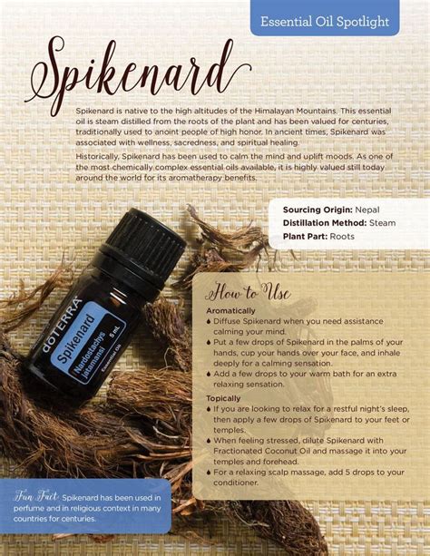 Spikenard Essential Oil 5ml