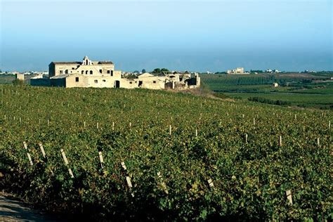 2024 Sicily Historic Winery Visit With Food And Wine Tasting In Marsala