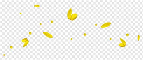 Yellow Flower Petals Art Yellow Petal Dream Petals Crushed Petals