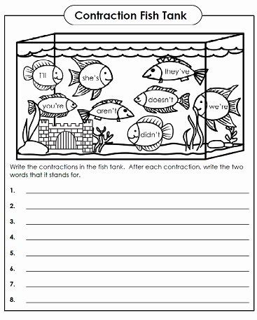 50 Contractions Worksheet 2nd Grade