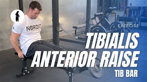 Tibialis Anterior Raise Tib Bar Youtube