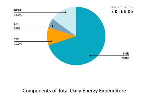 Tdee 101 How Many Calories Should I Eat Tdee Calculator