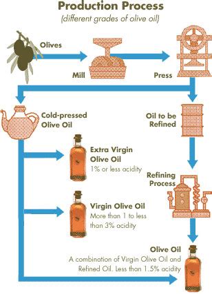 History Of Greek Olive Oil The Olive Oil Cold Press Process Step By Step