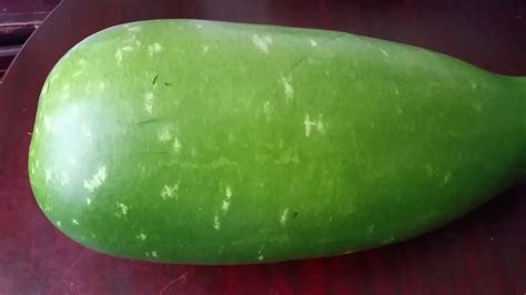 Bangla Lau Kodu Bangladeshi Vegetable Bottle Gourd Amar Bagan London