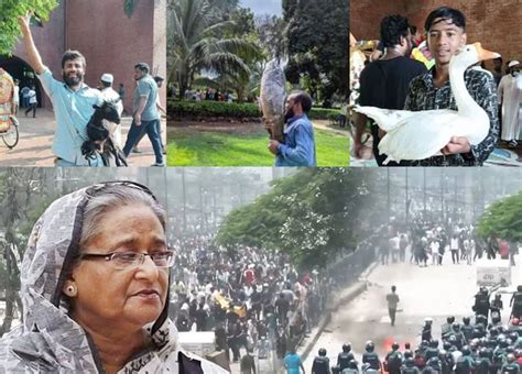 Bangladeshis Celebrate Sheikh Hasina S Exit With Mass Looting