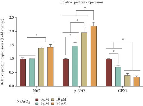 Arsenite Can Activate Nrf Gpx Signaling Pathway To Induce Oxidative