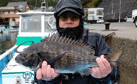 イカダで乗っ込みクロダイの気配濃厚【三重】カカリ釣り最新釣果｜釣りまとめアンテナ