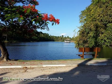 Terreno Em Condominio Na Ilha De Itaparica Ba Escritura Em 136755