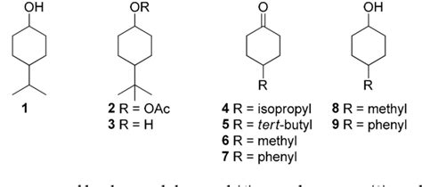 Figure 1 From Continuous Flow Biocatalytic Process For The Synthesis Of