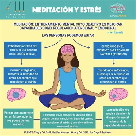 Beneficios De La Meditaci N Diaria La Gu A Completa