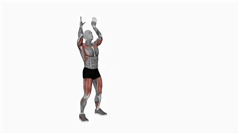 Mastering The Bodyweight Full Squat With Overhead Press Version 2 A Beginners Guide 1000