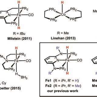 Examples Of Efficient Base Metal Catalysts For The Hydrogenation Of