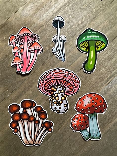 Mushrooms Sticker Pack Bundle 1 Mushroom Stickers Cute Mushroom