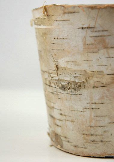 Natural Birch Bark Covered Flower Pot Or Vase 4 5 3 99 Birch Pots