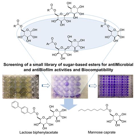 Pharmaceuticals Free Full Text Synthesis And Evaluation Of