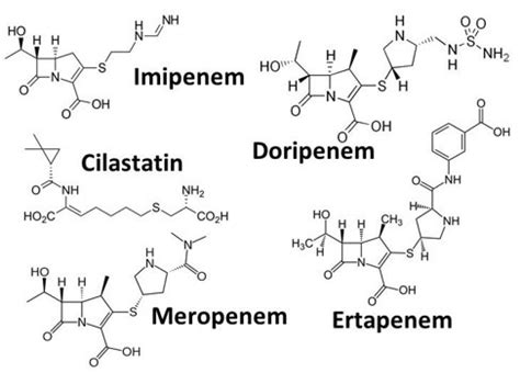 Other Lactams Carbapenems Monobactams Flashcards Quizlet