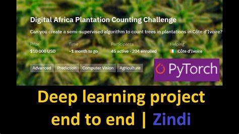 Deep Learning Project End To End Digital Africa Plantation Counting