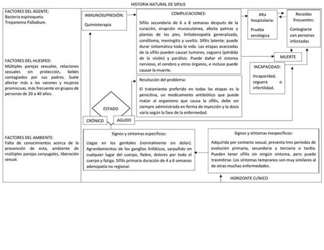 Historia Natural De La Enfermedad S Filis Udocz