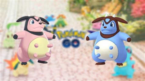 Bekijk Shiny Miltank Hier De Nieuwe Shiny In Pokémon Go Nwtv