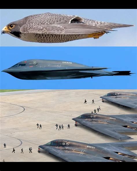 Facts The Northrop Grumman B 2 Spirit Stealth Bomber Is Built With A