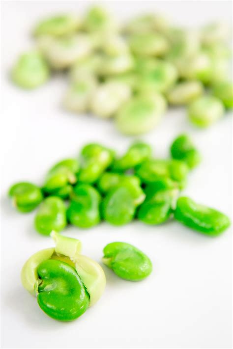 Neapolitan Fava Bean Soup With Pancetta And Fresh Herbs Philosokitchen