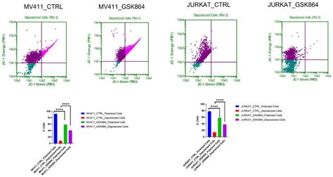 Idhi Alters Mmp In Leukemic Cells Quantitative Levels Of Mitochondrial Download Scientific