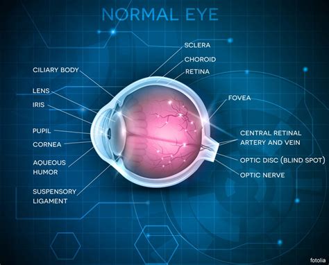 PATIENT INFORMATION: Eye Implants - THE IMPLANT REGISTER