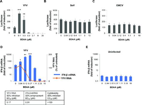 Bdaa Treatment Specifically Enhances Yfv Induced Ifn β Expression A