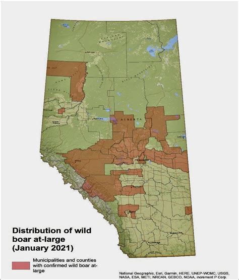 Wild Pigs In Alberta Map