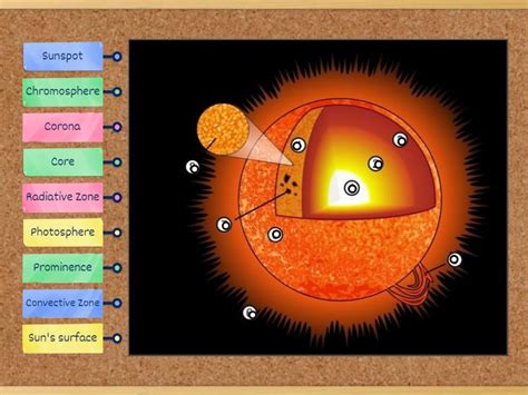 diagram   sun labelled diagram