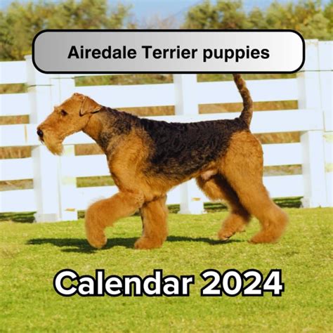 Airedale 2024 Calendar Carla Cosette