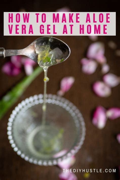 How to Make Aloe Vera Gel at Home ?? » The DIY Hustle