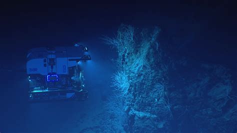 Noaa Explorers Dive Into The Mysteries Of The Mid Atlantic Ridge