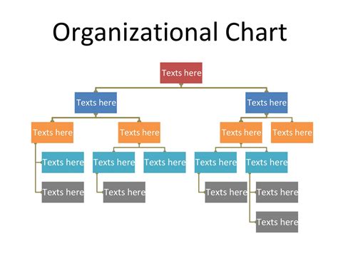 Management Organizational Chart Template